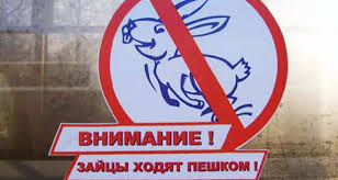 За безбилетный проезд на поездах Свердловской пригородной компании оштрафовано более 600 человек
